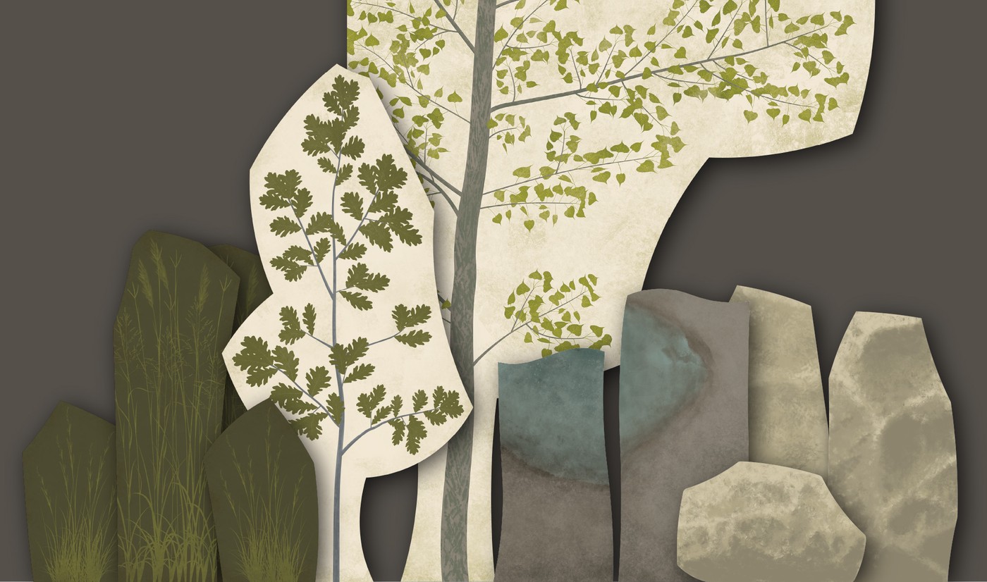 a set of illustrations of prairie grasses, oak tree and cottonwood tree, muddy banks of a stream, and limestone boulders