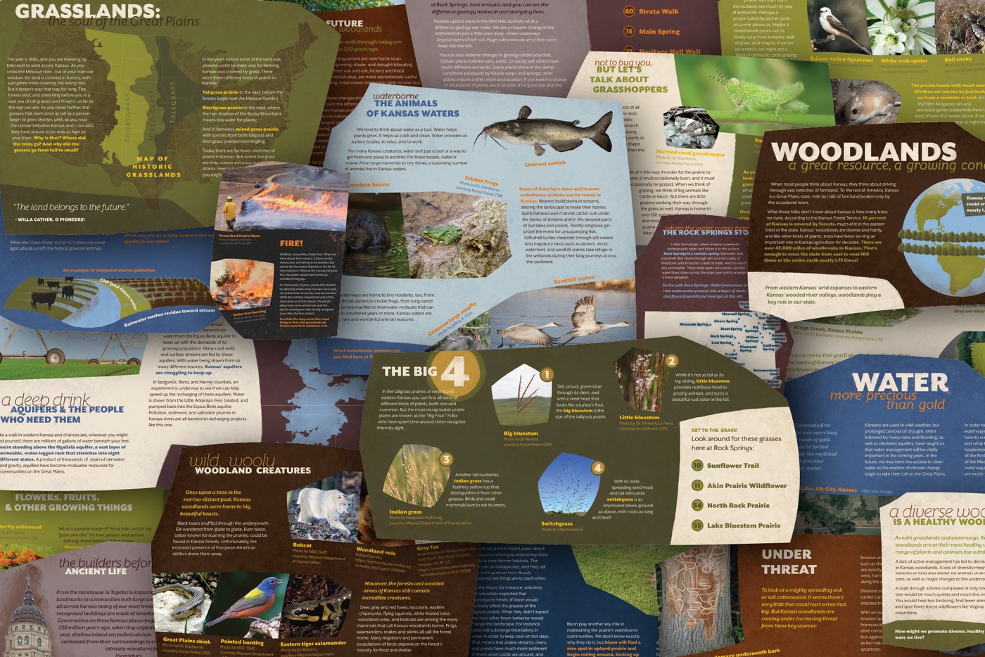 collage of numerous interpretive panels featuring colorful nature photography