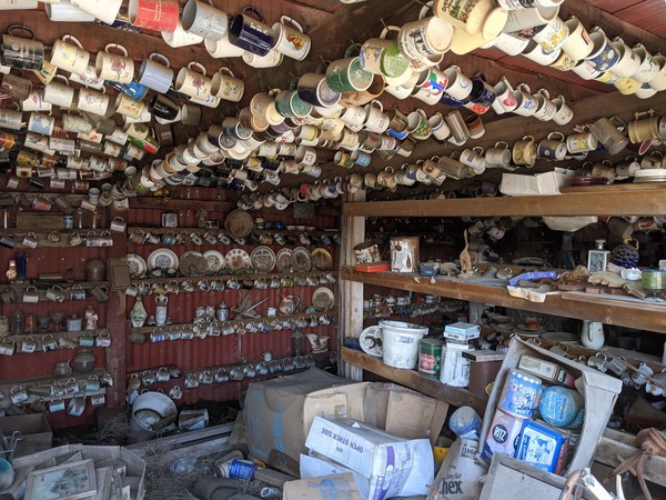 Mugs line the ceiling and walls of a shed